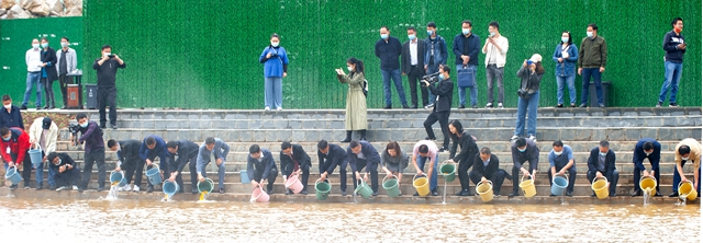 4、景观湖投放观赏鱼.jpg